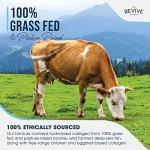 Collagen Protein Coffee Packets – Grass Fed & Wild Caught