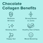 Chocolate Collagen Protein Powder Stick Packs