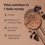 Shakeology Chocolate Protein Coffee Powder Blend