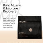 ProMix Chocolate Whey Protein Isolate Powder