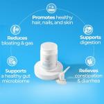 Happy Mammoth Gut Health Powder with Probiotics