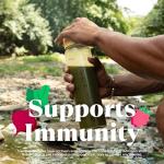 Amazing Grass Greens Blend Superfood: Powder