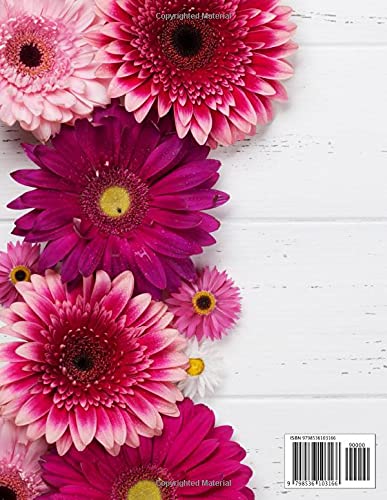 Easy Cash Budget Weekly Planner for Budgeting with Sinking Funds and Cash Envelopes from Independently published