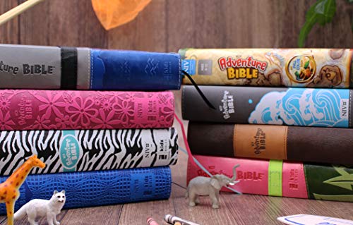 NIV, Adventure Bible, Leathersoft, Pink, Full Color from Zonderkidz