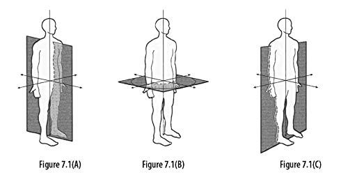 EMT (Emergency Medical Technician) Crash Course with Online Practice Test, 2nd Edition: Get a Passing Score in Less Time (EMT Test Preparation) from Research & Education Association