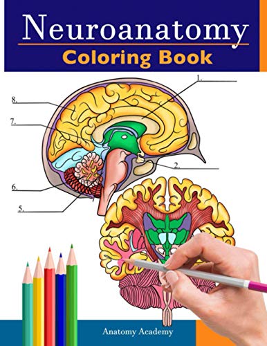 Neuroanatomy Coloring Book: Incredibly Detailed Self-Test Human Brain Coloring Book for Neuroscience | Perfect Gift for Medical School Students, Nurses, Doctors and Adults by Muze Publishing