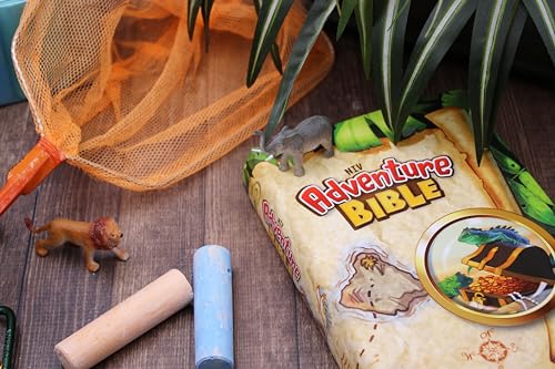 NIV, Adventure Bible, Hardcover, Full Color from ZonderKidz