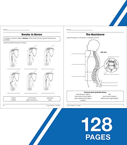 Carson Dellosa The 100+ Series: Human Body WorkbookâGrades 5-8 Science Book, Human Anatomy, Bones, Muscles, Organs, the Nervous System, Health and Nutrition (128 pgs) by Carson Dellosa Education