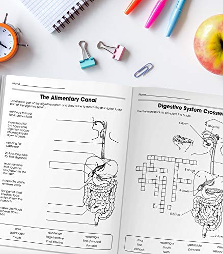 Carson Dellosa The 100+ Series: Human Body WorkbookâGrades 5-8 Science Book, Human Anatomy, Bones, Muscles, Organs, the Nervous System, Health and Nutrition (128 pgs) by Carson Dellosa Education