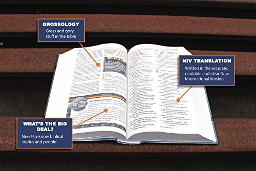 NIV, Boys' Bible, Leathersoft, Brown Camo, Comfort Print by Zonderkidz