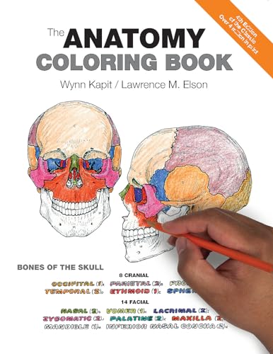 The Anatomy Coloring Book from Pearson