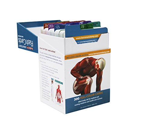 Anatomy Flash Cards (Barron's Test Prep) by Barrons Educational Services