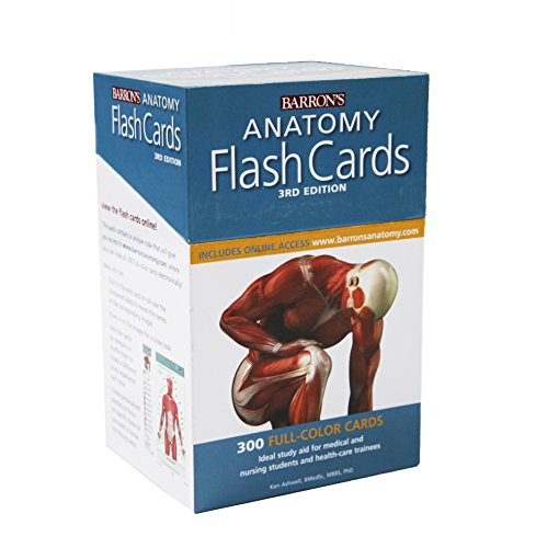 Anatomy Flash Cards (Barron's Test Prep) by Barrons Educational Services