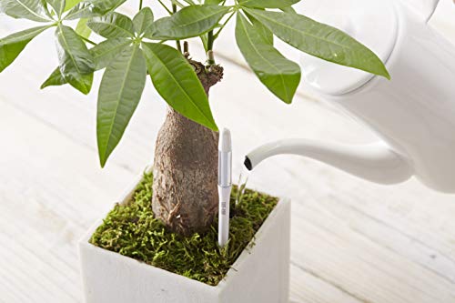 Smart Plant Watering Indicator, Set of 5