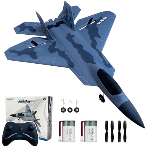 Readymade RC Fighter Jets