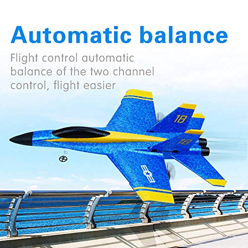 Remote Control Airplane, 2.4Ghz 2 Channel RC Plane Ready to Fly, Durable EPP Foam Built-in 3-Axis Gyro, Easy to Fly RC Aircraft and Great Gift Toy for Beginners and Kids, Upgraded with Propeller Saver from Dailiot