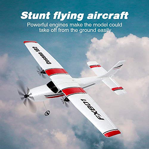 Remote Control Airplane,RC Plane Ready to Fly 2.4Ghz 2 Channel EPP RC Aircraft for Kids Boys Beginner from Behorse