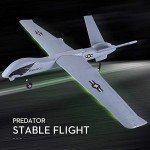 RC Plane Remote Control Airplane - 2.4Ghz 2 Channels DIY RC Predator Aircraft with 3-Axis Gyro for Beginner RC Plane with 2 batteries, Wingspan 660mm from PLRB
