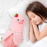 Peach Cat Strawberry Cake Plush Pillow Toy