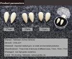 Vampire Fangs Set for Halloween Cosplay Fun