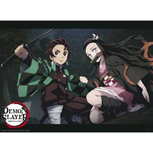 Demon Slayer Kamado Siblings Mini Poster 15"x20.5