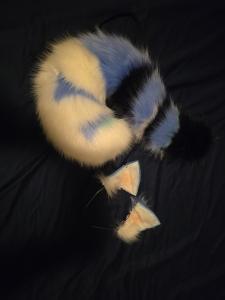 Cat Ears and Tail Cosplay Accessory Set