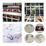 Berserk Guts Red Sun Wall Art Canvas Print