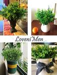 Eucalyptus Fake Plants - 8pcs Greenery Set