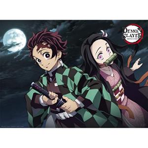 Demon Slayer Tanjiro & Nezuko Mini Poster