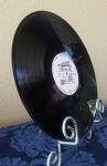 Customizable 12" Vinyl Record Wall Art