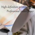 JOJO's Bizarre Adventure Giorno Giovanna Poster Set