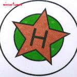 Women's Anime  Z Videl Cosplay Costume with Gloves and Shoe Covers