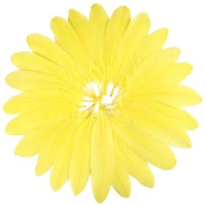 120pcs Yellow Goose Feathers for Crafts and Cosplay
