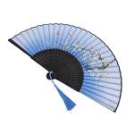 Vintage Blue Folding Hand Fan for Cosplay & Parties