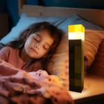 Yevheniy LED Wall Torch - Cosplay Night Light