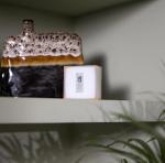 Netatmo Smart Thermostat - Control Heating Remotely
