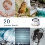 White Noise Sound Machine with Night Light