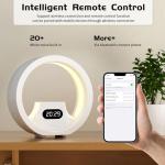 GDbow White Noise Machine with Remote and Lights