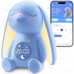 White Noise Sound Machine with Night Light and App