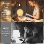 Red Light Sleep Lamp with Remote and Timer
