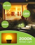 Energy-Saving LED Amber Light Bulbs - 2 Pack
