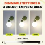 Rechargeable LED Wall Sconce with App Control