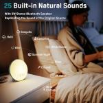 Sunrise Alarm Clock with White Noise & Bluetooth