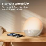 Wake Up Light Alarm Clock with White Noise