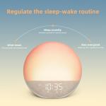 Wake Up Light Alarm Clock with White Noise