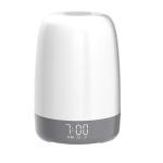 Sunrise Simulation Alarm Clock and Bedside Lamp