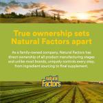 Natural Factors Sleep Relax Formula - 90 Capsules