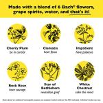 Bach RESCUE SLEEP Spray for Natural Stress Relief