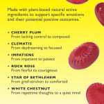 Bach Rescue Sleep Pastilles - Black Currant Flavor
