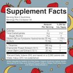 MaryRuth Organics Sugar-Free Sleep Gummies - 60 Count